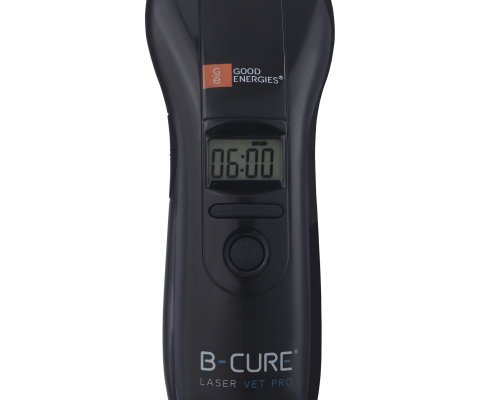 b cure laser VET PRO