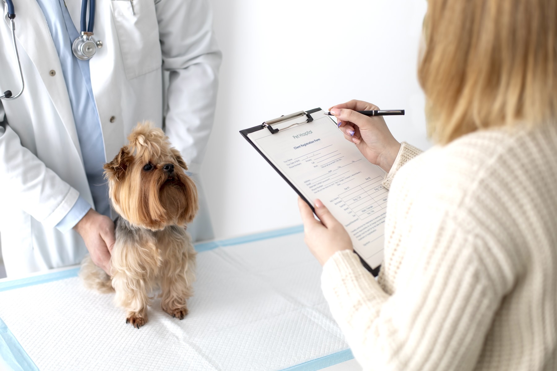 cute-dog-consultation