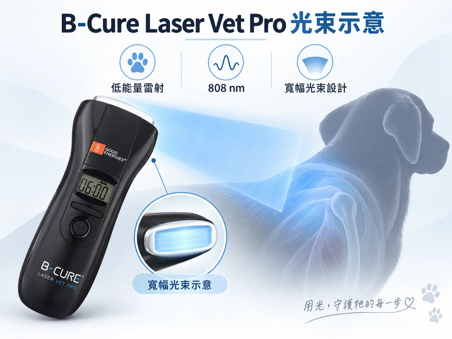 B-Cure Laser Vet Pro 4.5 × 1 cm 寬幅雷射光束示意圖