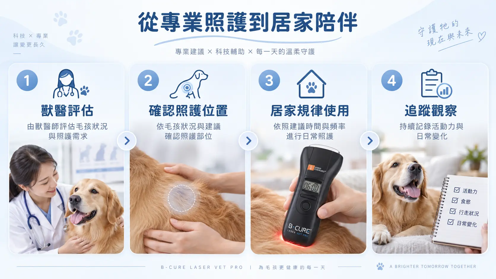動物醫院專業評估延伸至寵物居家照護流程