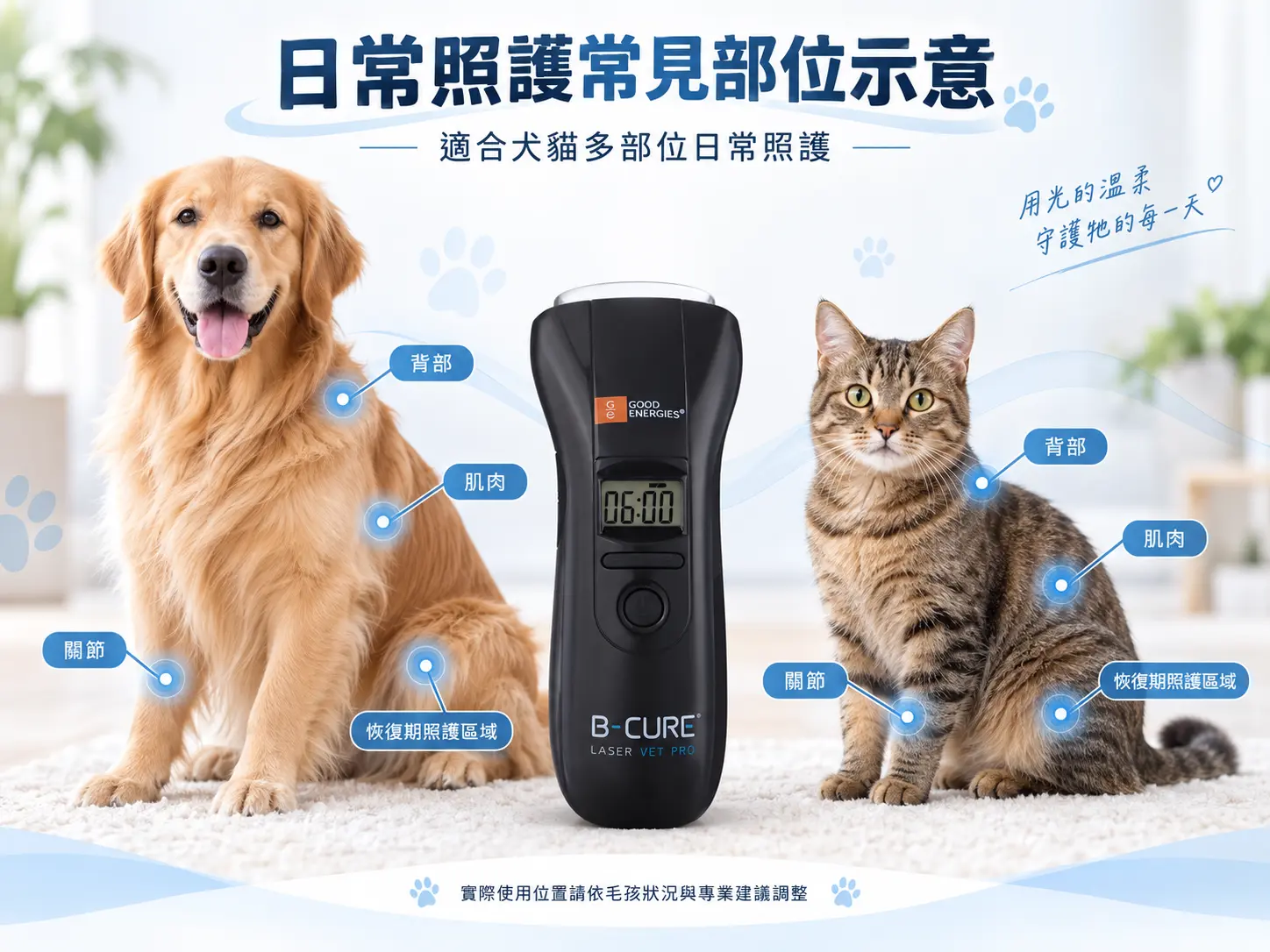 狗狗與貓咪寵物低能量雷射日常照護位置示意圖