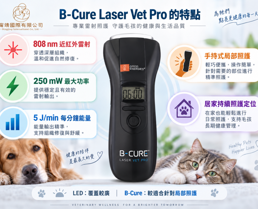 B-Cure Laser Vet Pro 局部照護示意