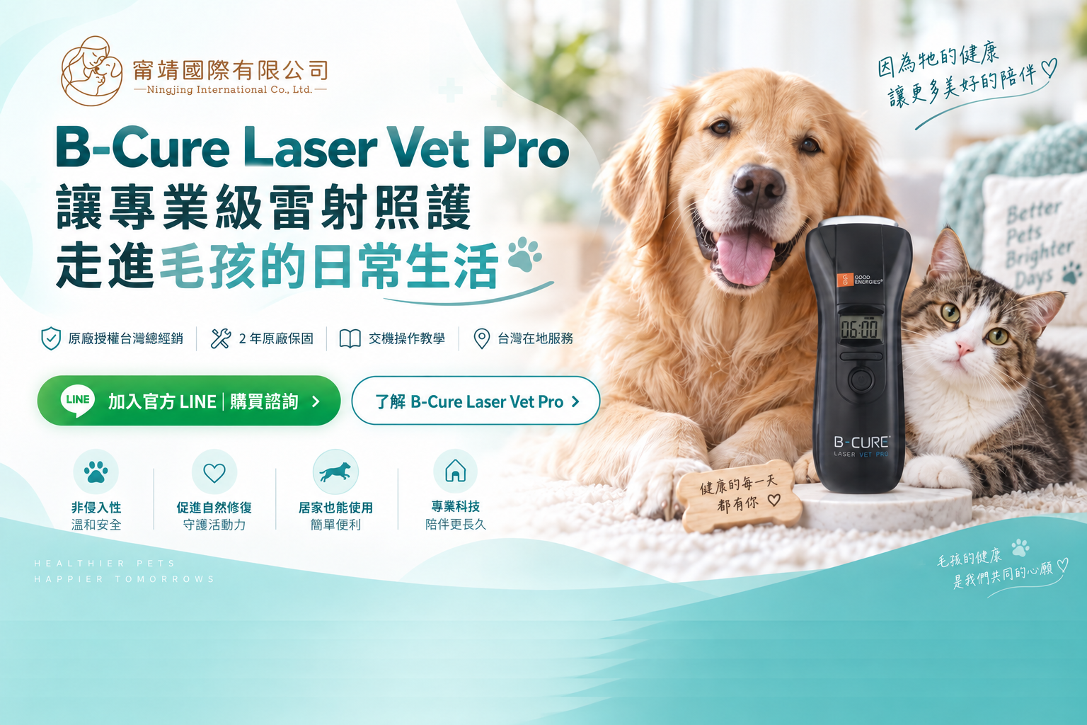 B-Cure Laser Vet Pro 台灣購買諮詢與犬貓居家照護