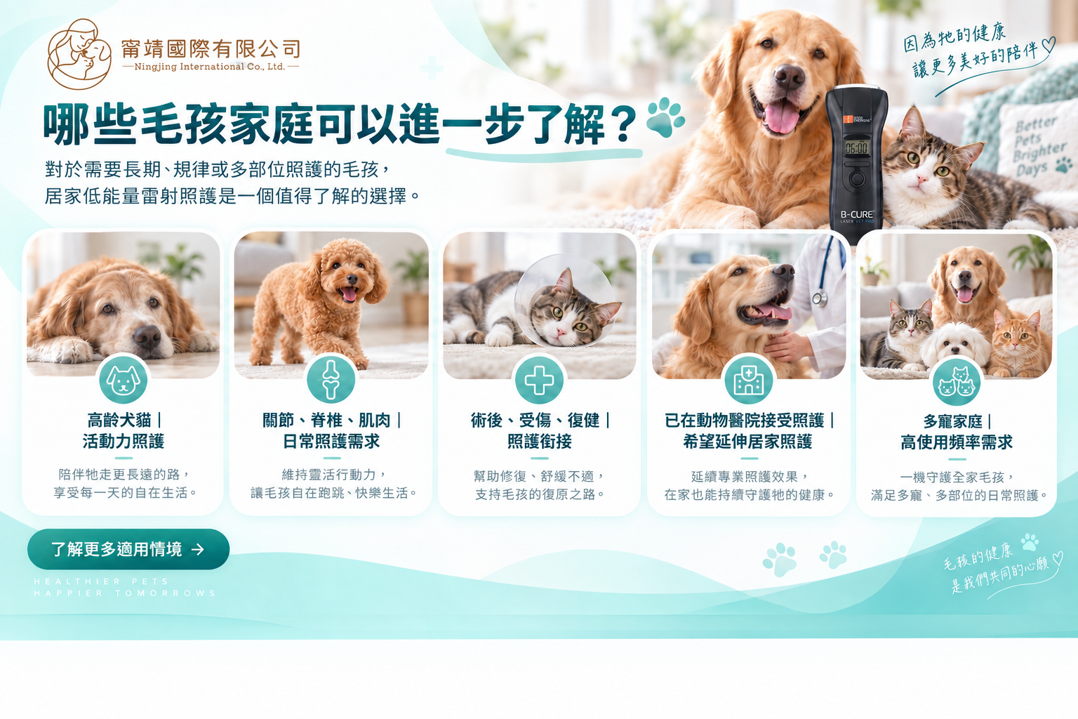 適合進一步了解 B-Cure Laser Vet Pro 的犬貓家庭