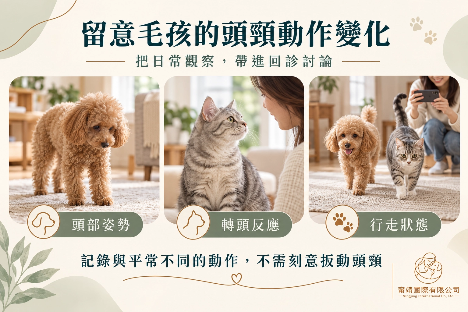 觀察狗狗與貓咪的頭部姿勢、轉頭反應與行走狀態