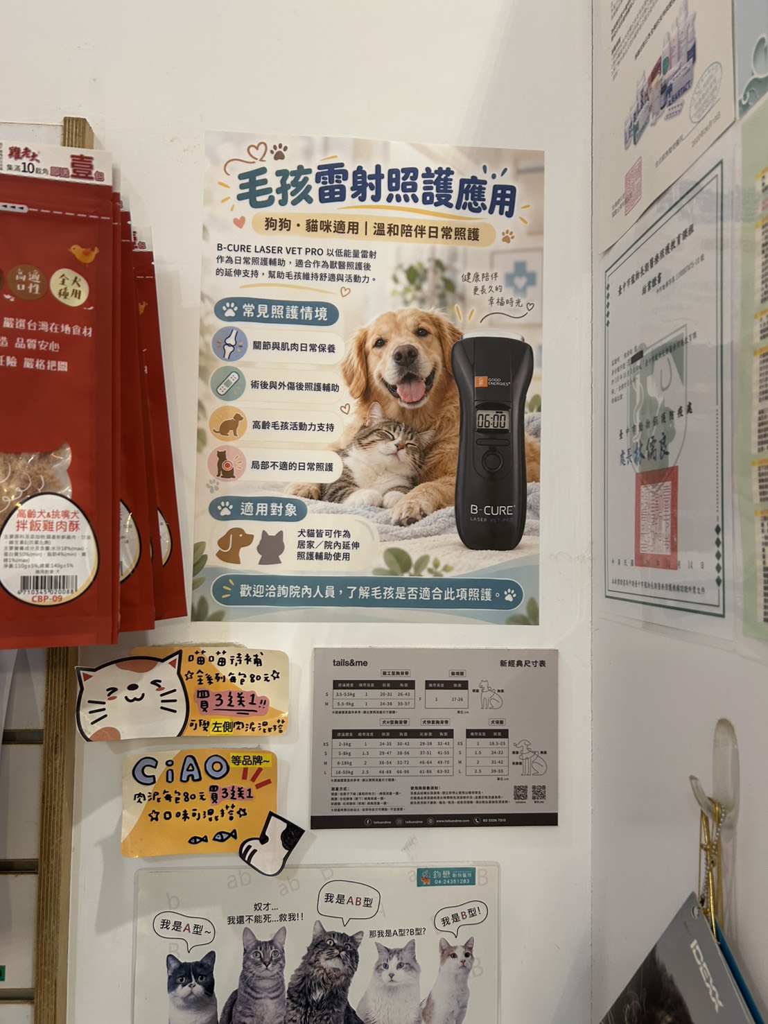 台中鈞懋動物醫院展示 B-Cure Laser Vet Pro 寵物雷射照護海報
