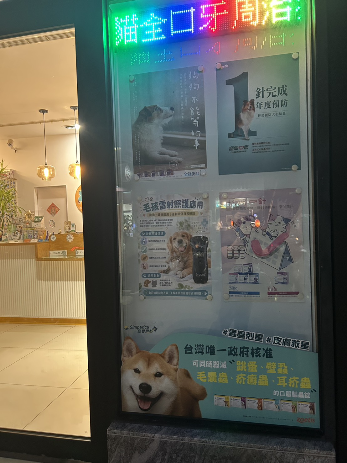 台中鈞懋動物醫院入口展示 B-Cure Laser Vet Pro 寵物雷射介紹海報